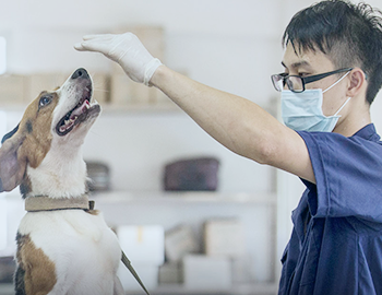 實(shí)驗(yàn)動物研究開發(fā)中心